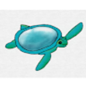 Meet your Posher, The quirky turtle